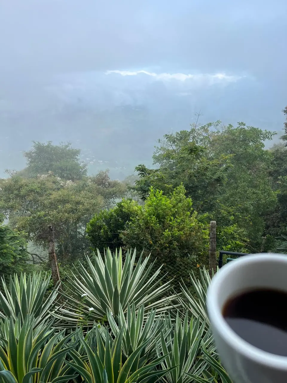Photo from yaneth R.'s review of El Aleph | Hospedaje San Peregrino