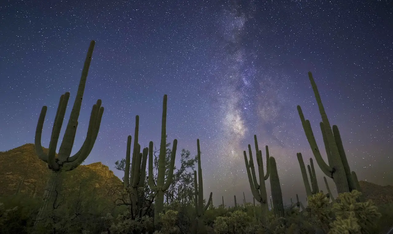 Photo from Joe P.'s review of Sean Parker Photography