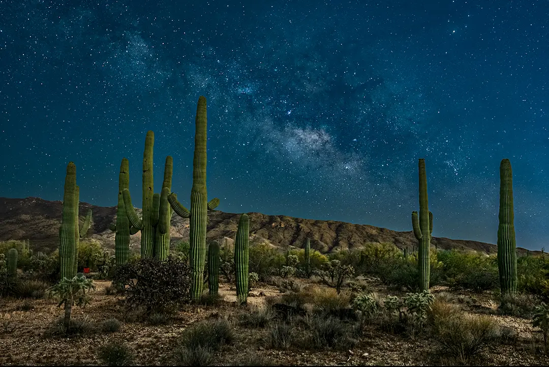 Photo from Katrin E.'s review of Sean Parker Photography