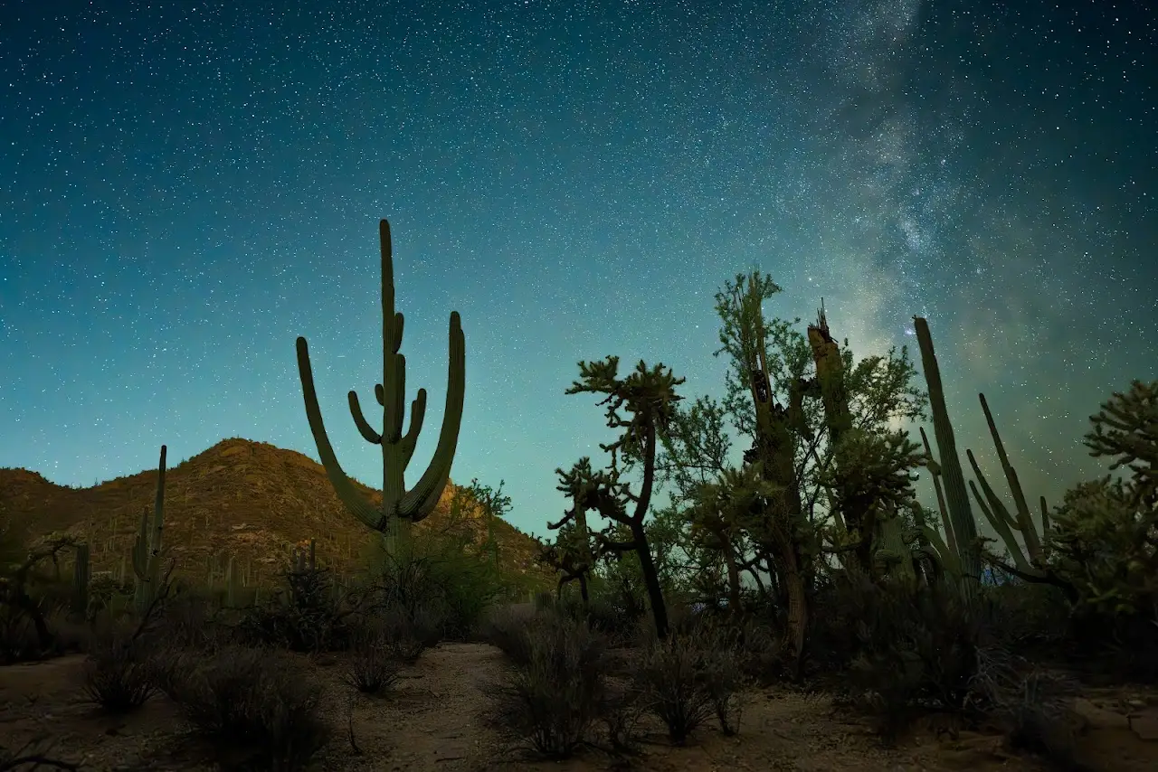 Photo from Grace F.'s review of Sean Parker Photography