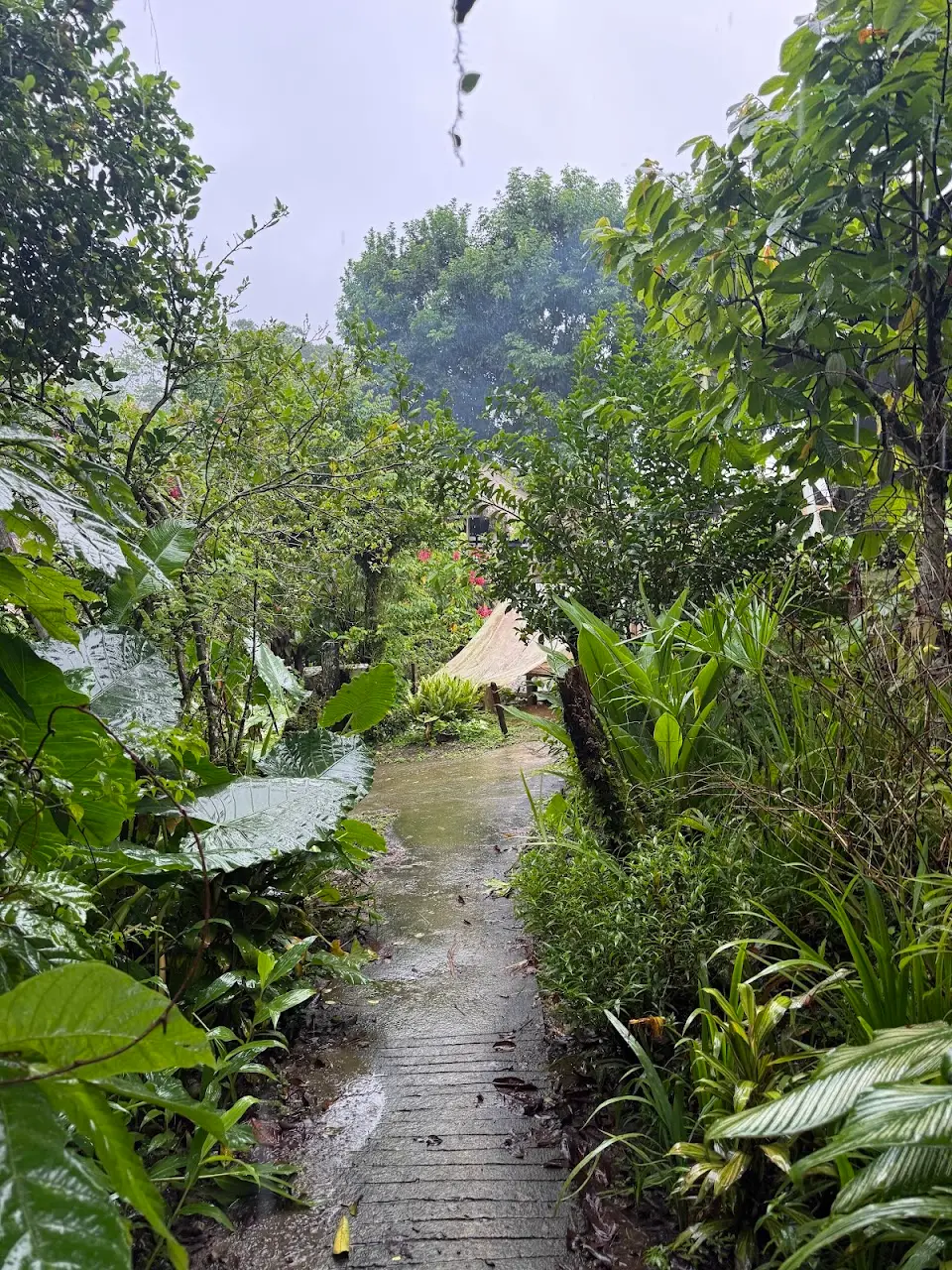 Photo from Jonathon H.'s review of Bribri cultural Tours reviews