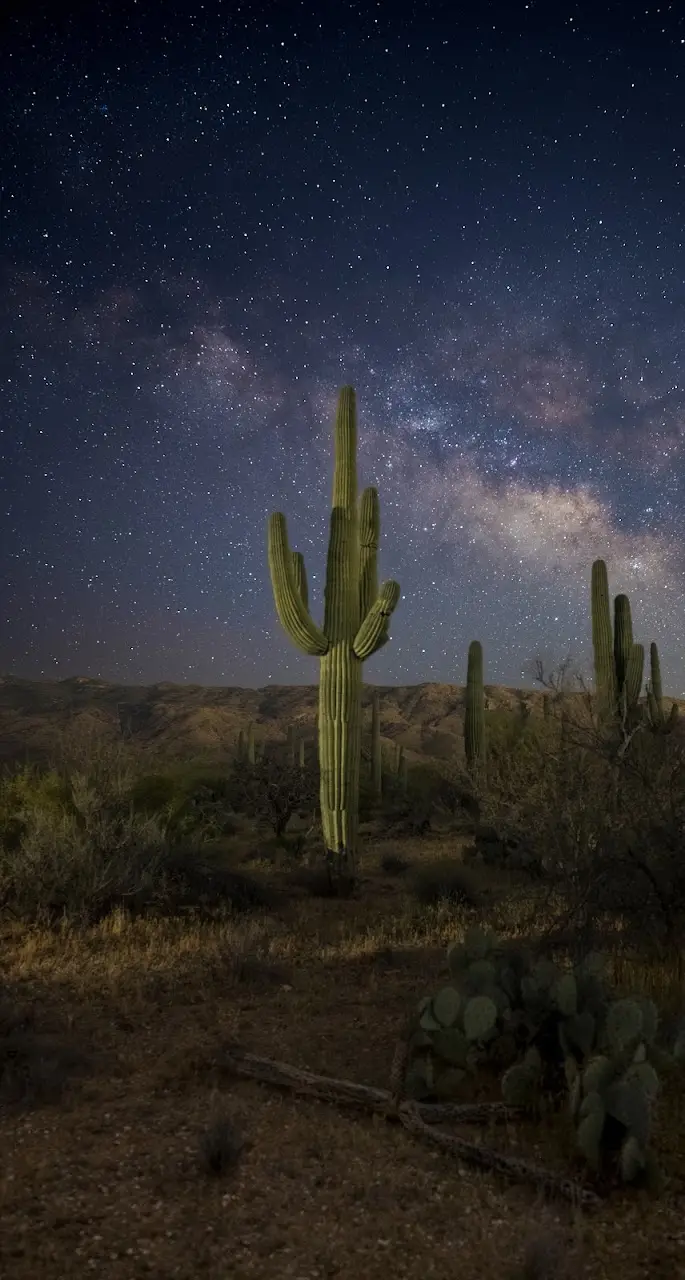 Photo from Adam K.'s review of Sean Parker Photography