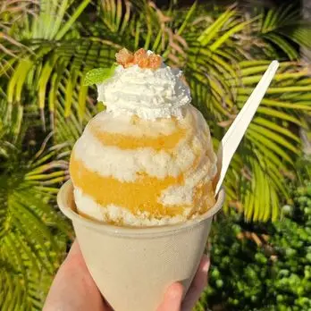 Photo from Ruthanna H.'s review of HulaScoops